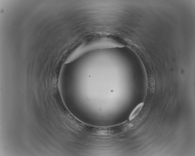 X0000058830657200510031348