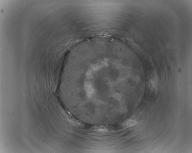 X0000058830658200510031348