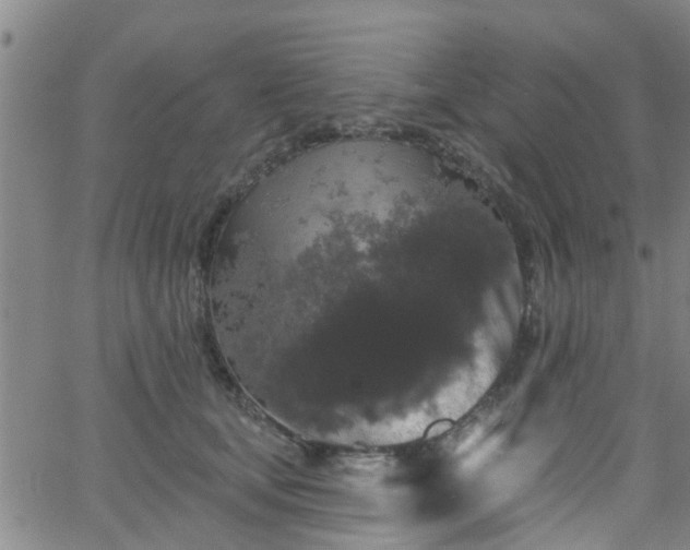 X0000058830659200510031348