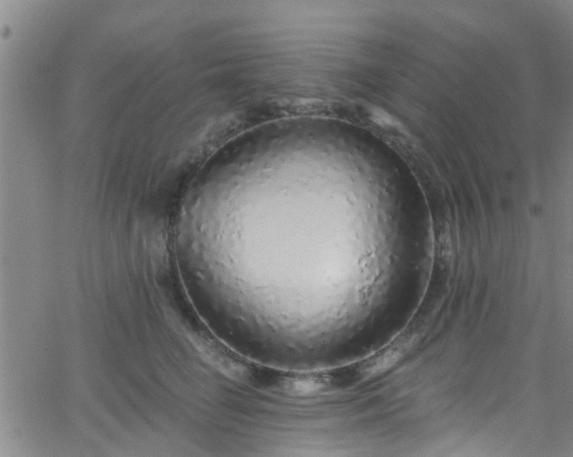 X0000058830662200510031348