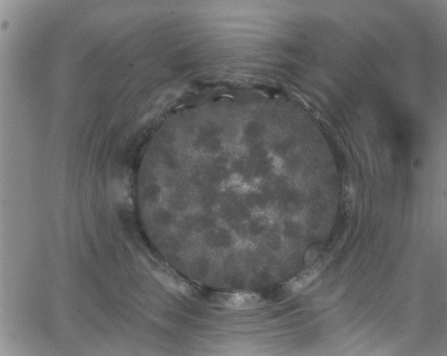 X0000058830663200510031348