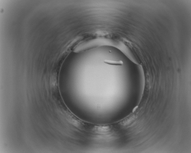 X0000058830665200510031348