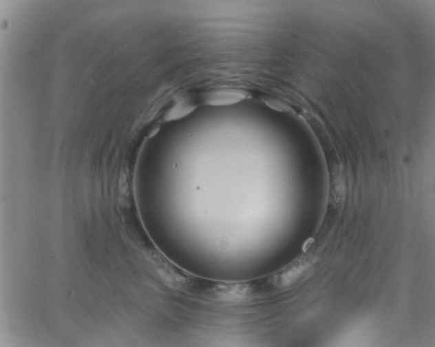 X0000058830667200510031348