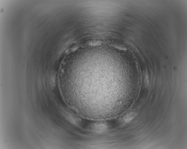 X0000058830668200510031348