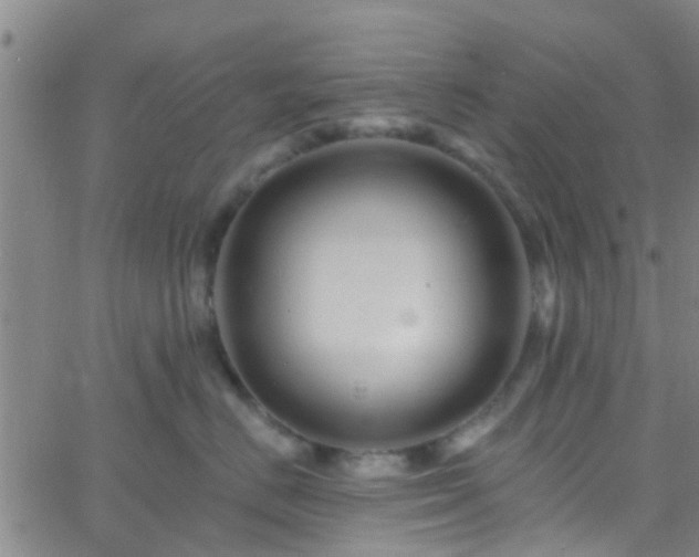 X0000058830670200510031348