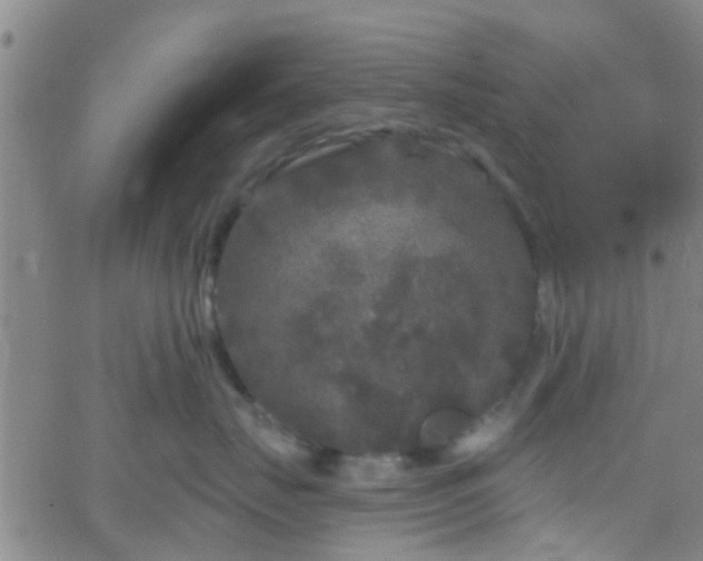 X0000058830671200510031348