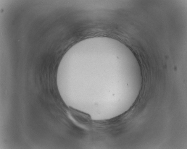 X0000058830672200510031348