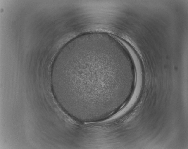 X0000058830673200510031347