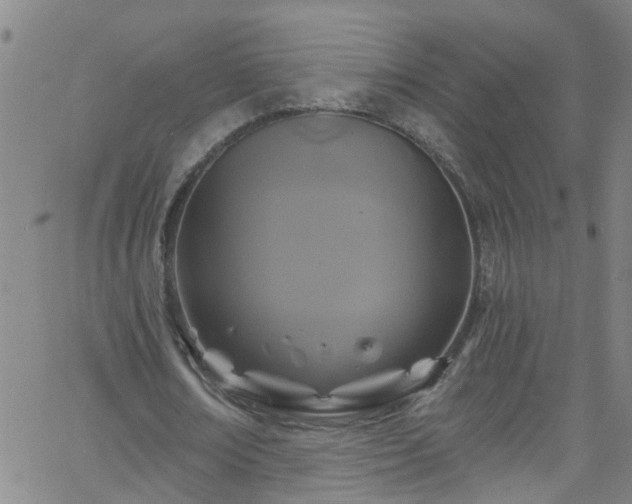 X0000058830674200510031347