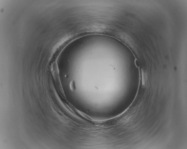 X0000058830675200510031347