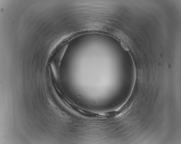 X0000058830676200510031347