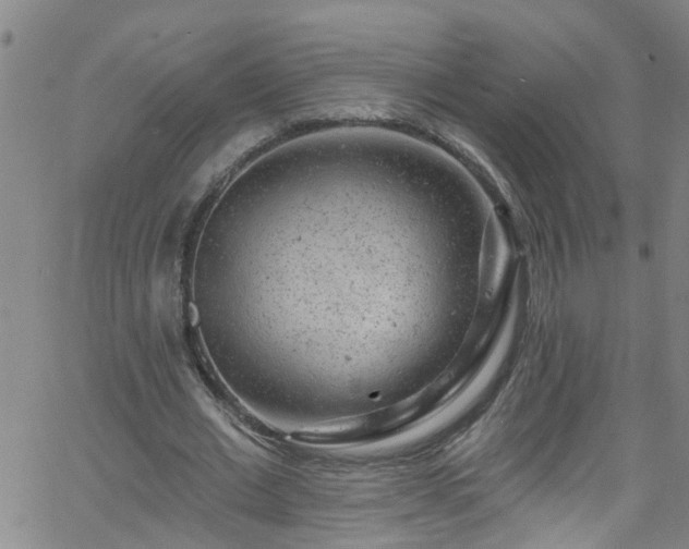 X0000058830677200510031347