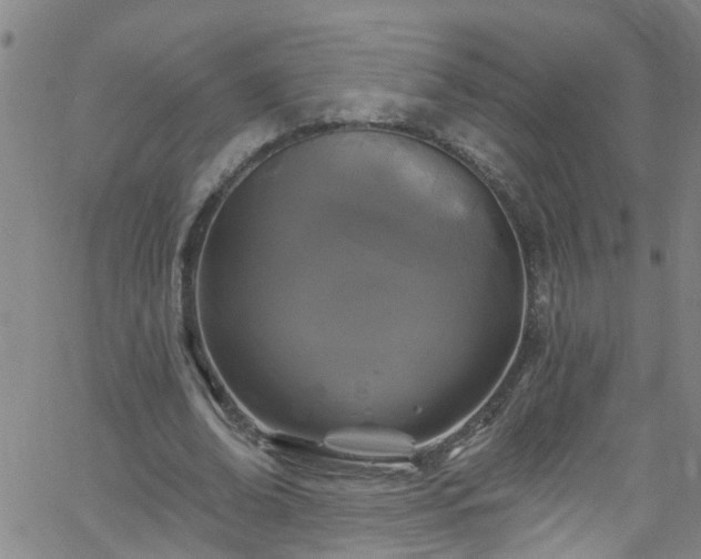 X0000058830678200510031347