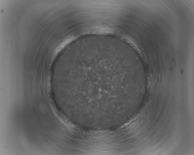 X0000058830679200510031347