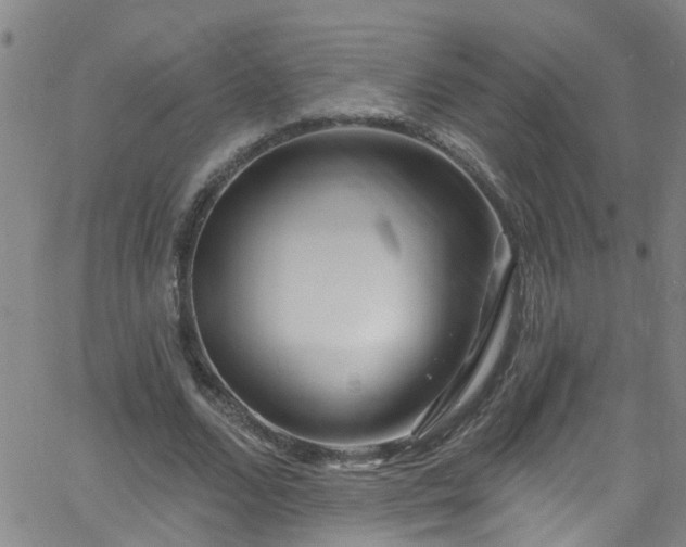 X0000058830680200510031347