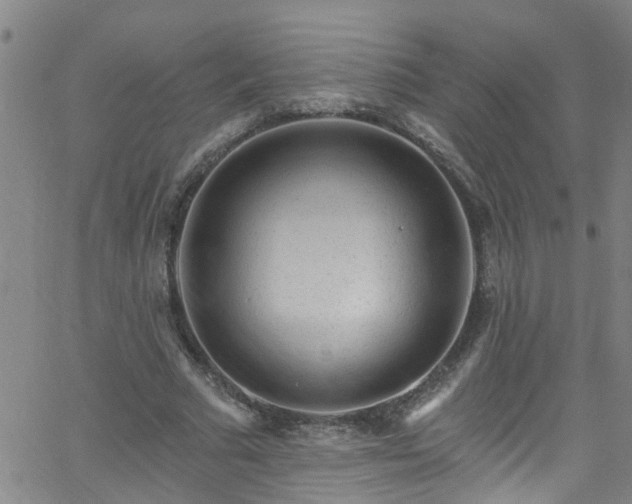 X0000058830681200510031347