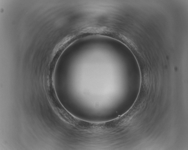 X0000058830682200510031347