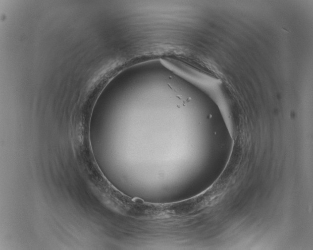 X0000058830683200510031347