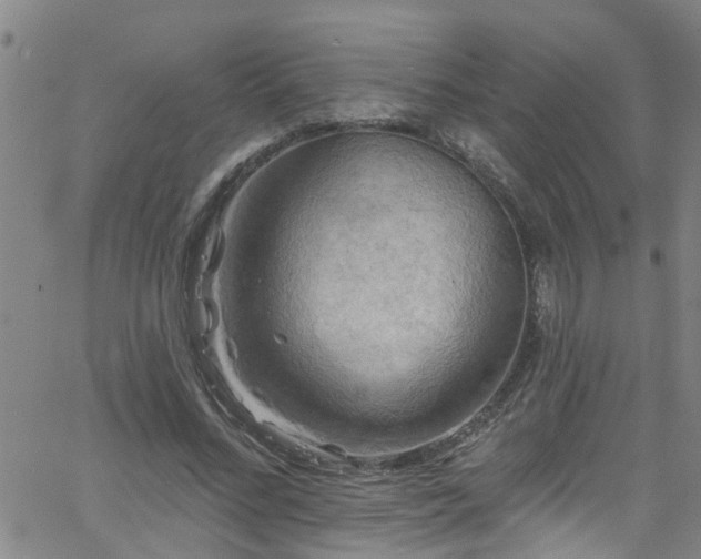 X0000058830684200510031347