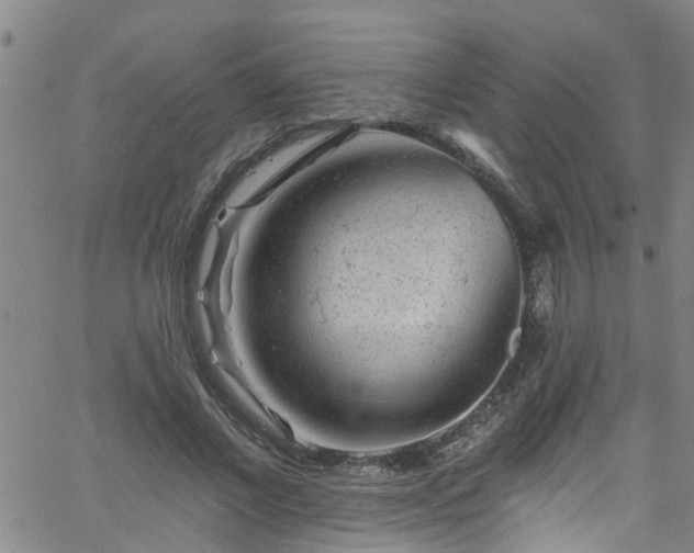 X0000058830685200510031347