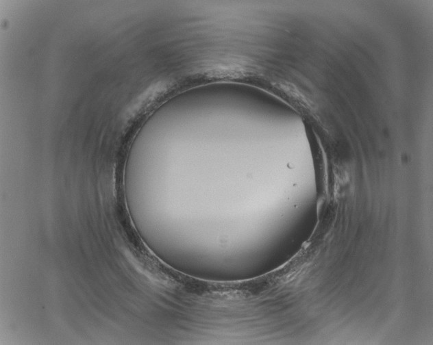 X0000058830686200510031347