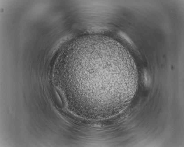 X0000058830687200510031347