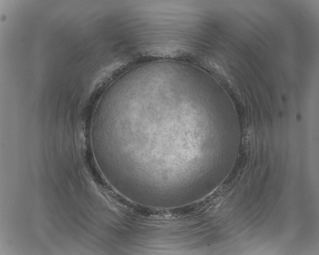 X0000058830688200510031347