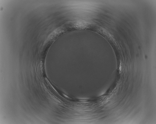 X0000058830689200510031347