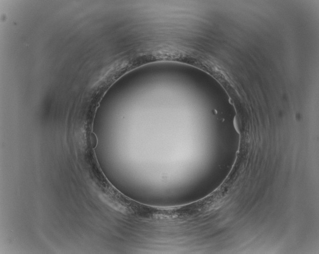 X0000058830690200510031347