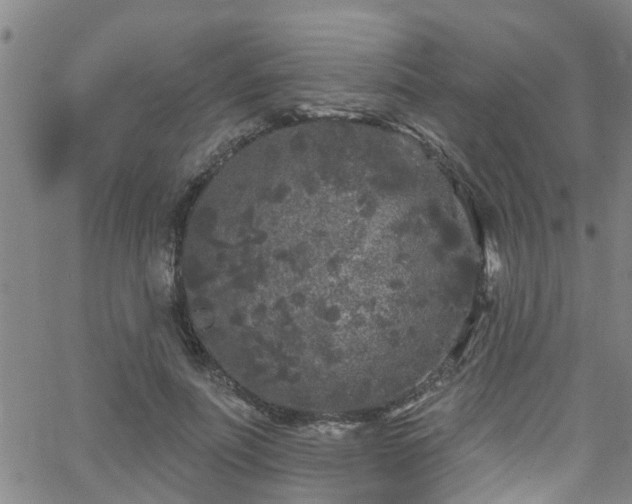 X0000058830691200510031347