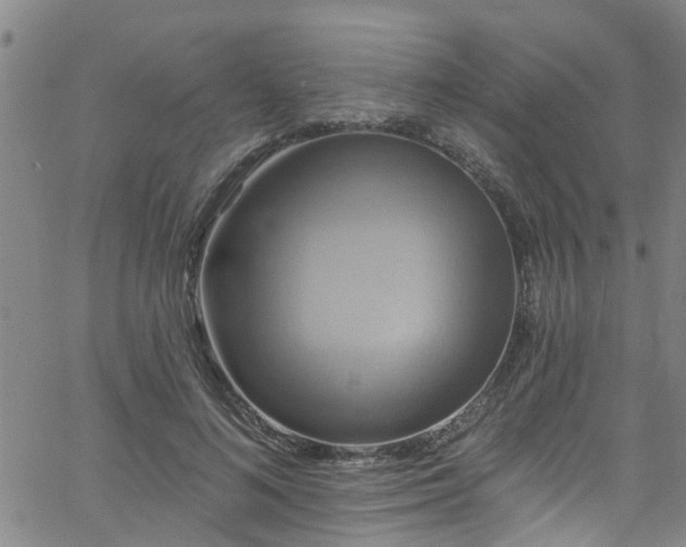 X0000058830692200510031347