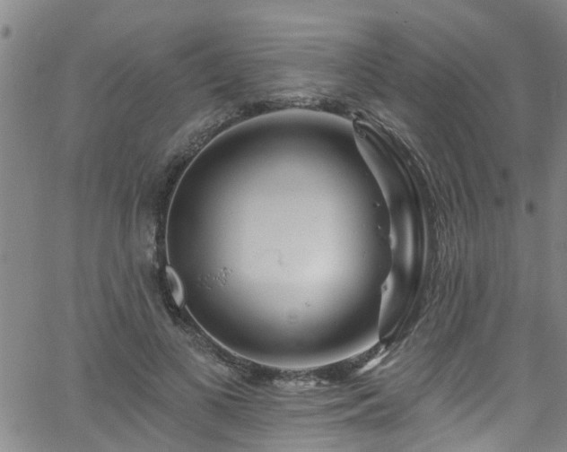 X0000058830693200510031347