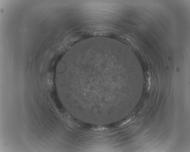 X0000058830695200510031347