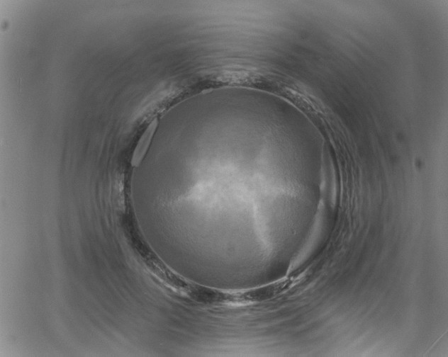 X0000058830696200510031347