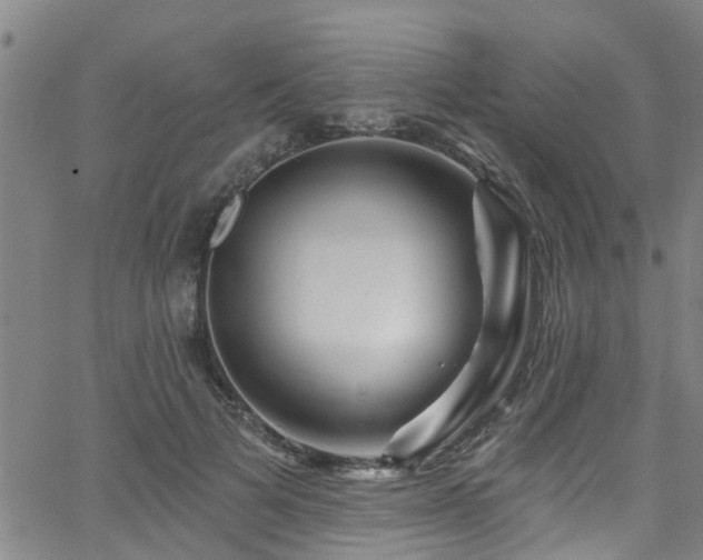 X0000058830697200510031347