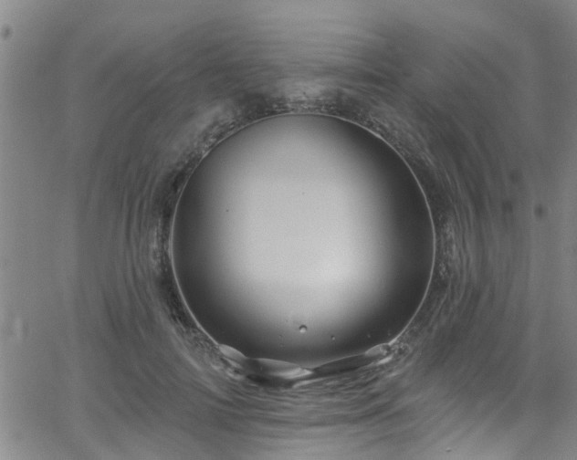 X0000058830698200510031347