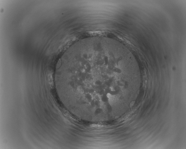 X0000058830699200510031347