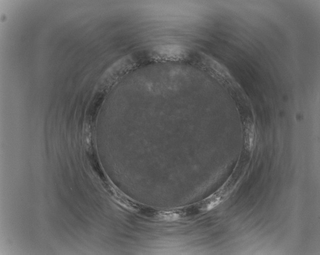 X0000058830701200510031347