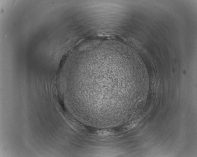 X0000058830703200510031347