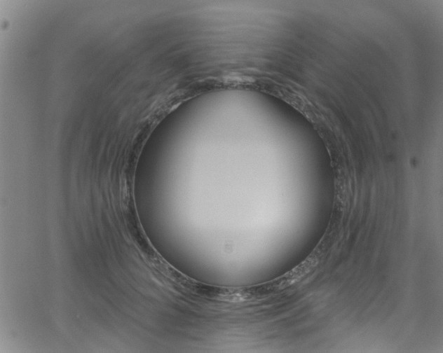 X0000058830704200510031347