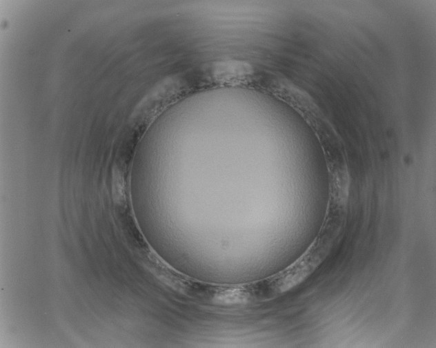 X0000058830705200510031347