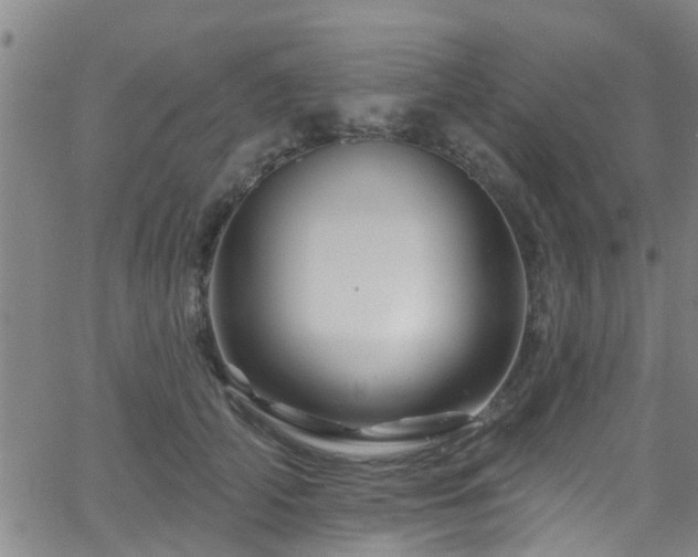 X0000058830706200510031347