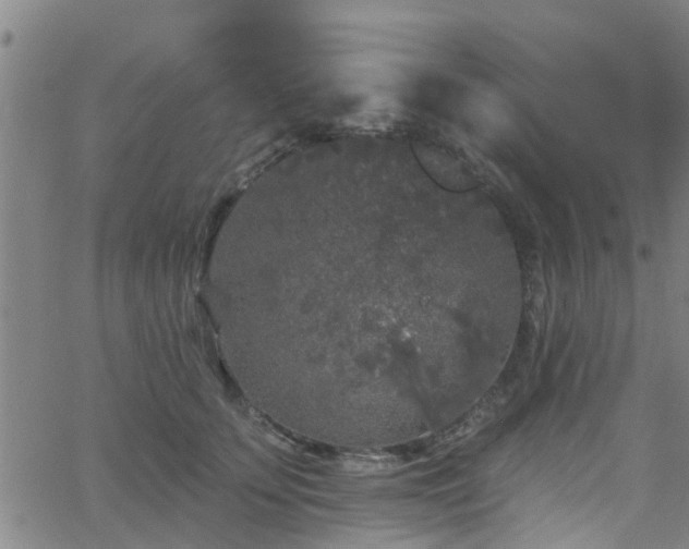 X0000058830707200510031347