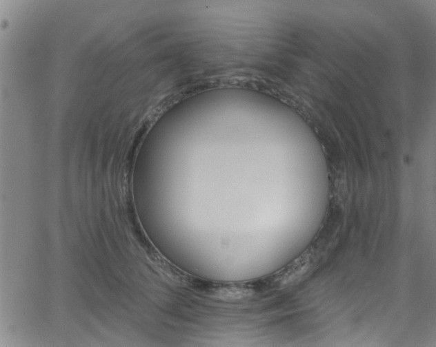 X0000058830708200510031347