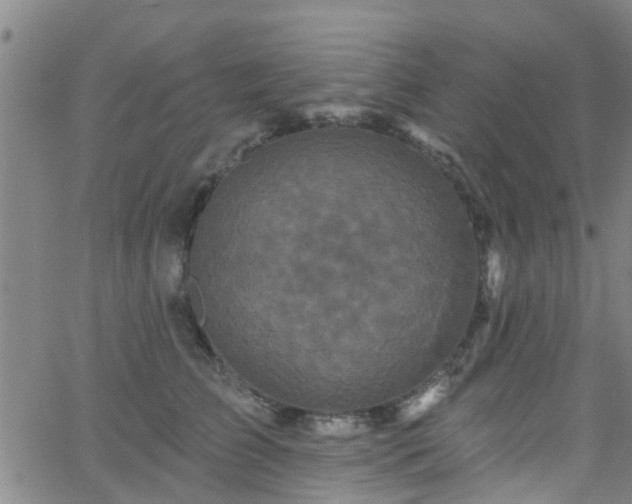 X0000058830709200510031347