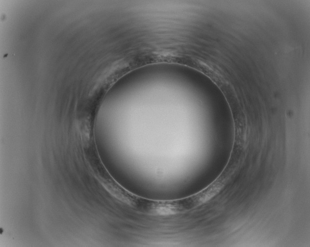 X0000058830710200510031347