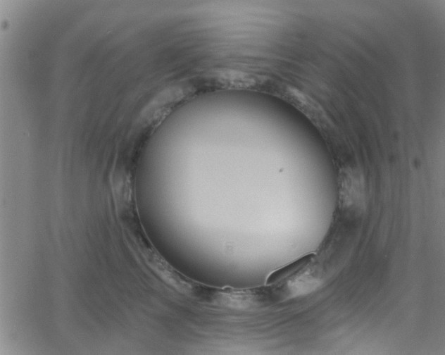 X0000058830713200510031347