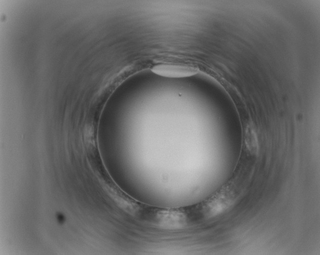 X0000058830714200510031347