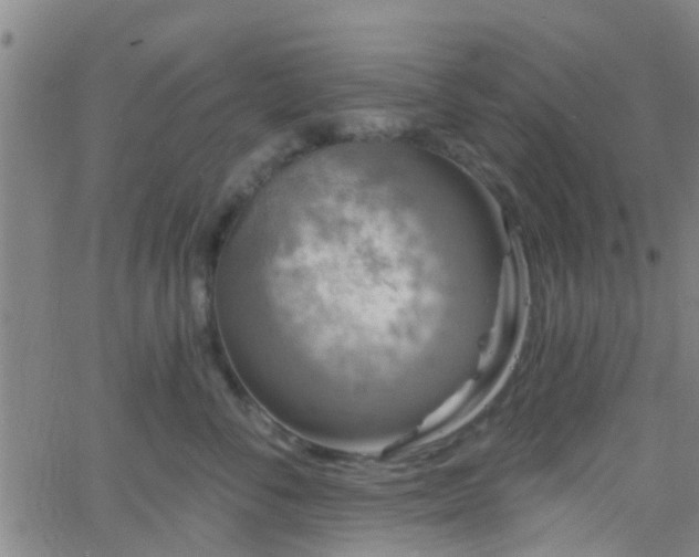 X0000058830716200510031347