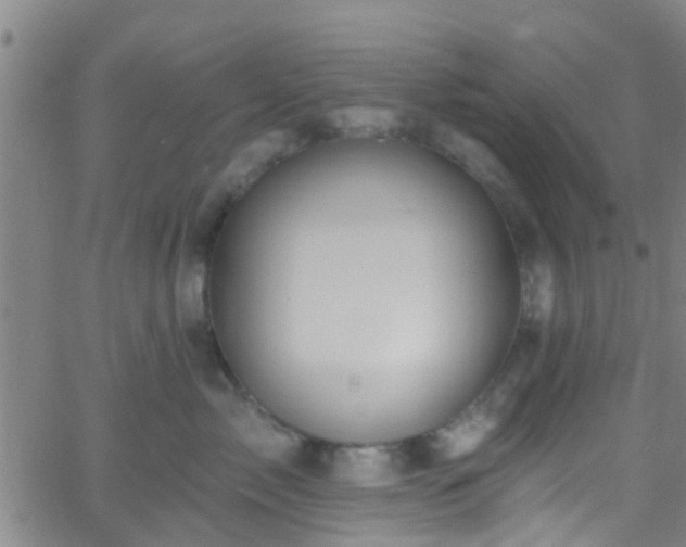 X0000058830717200510031347